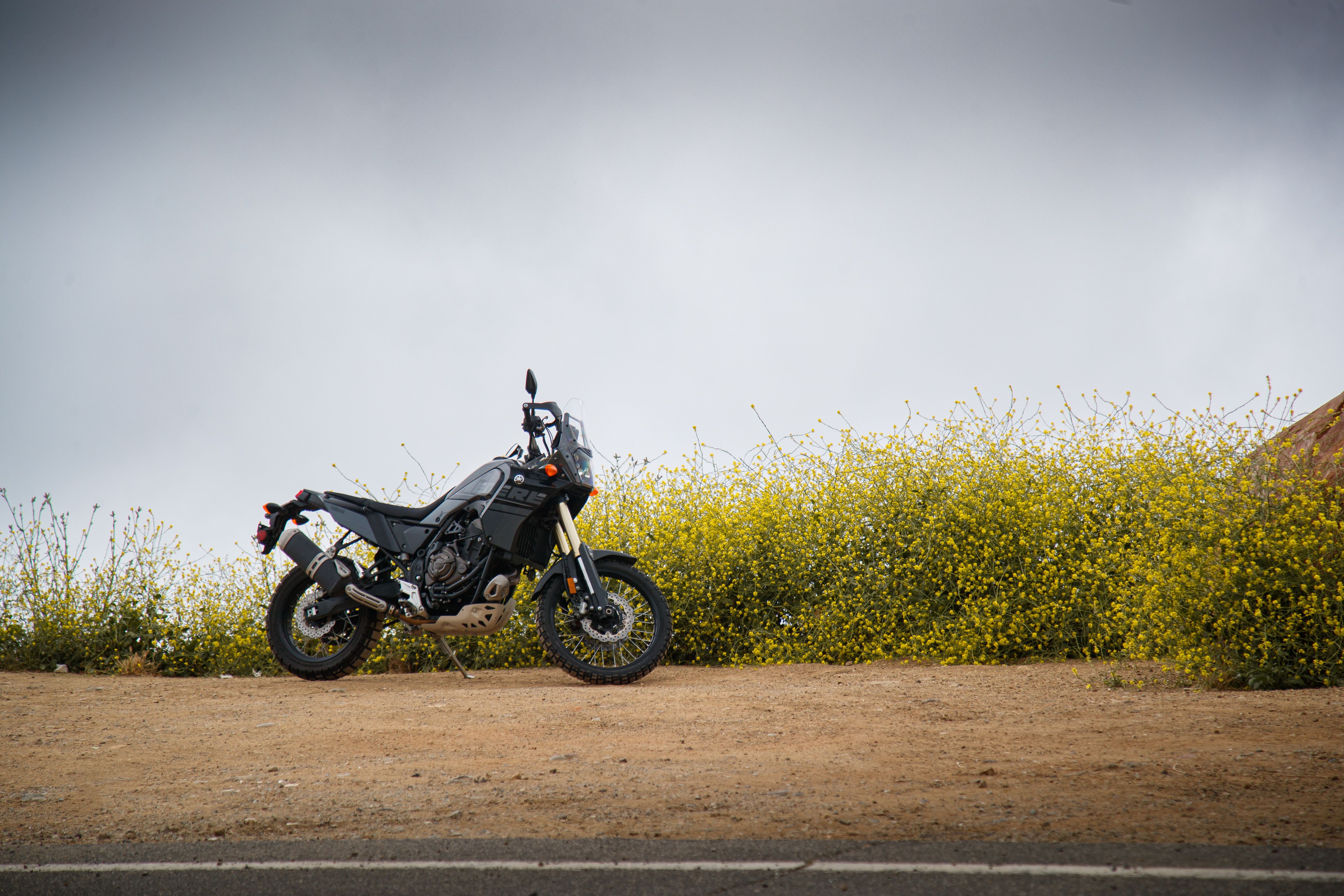 Moto big trail em estrada com flores